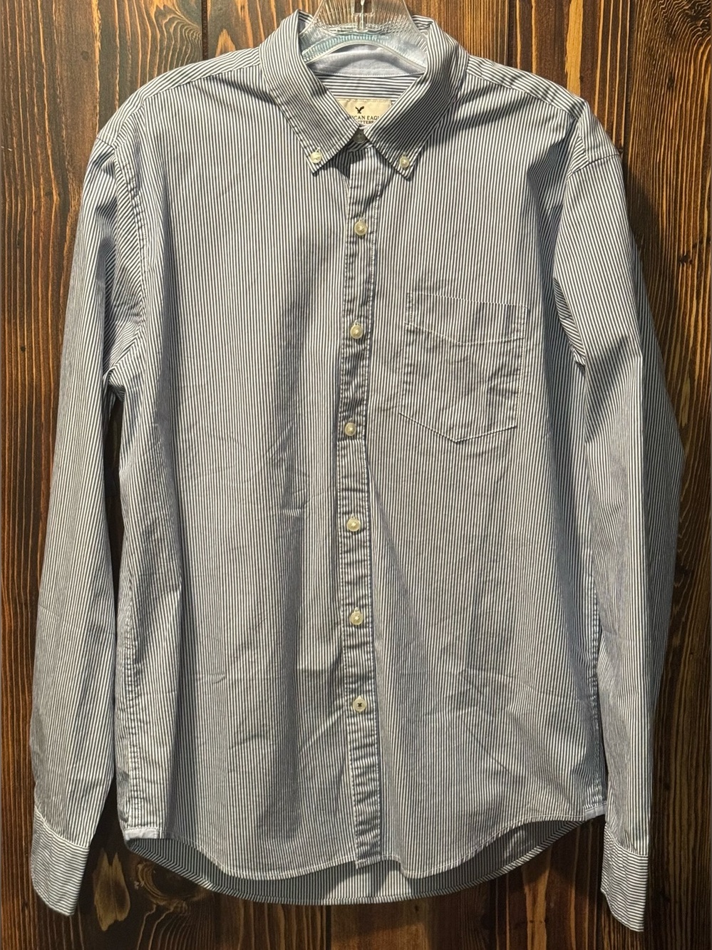 American Eagle Outfitters Blue and White Striped Button-Down Shirt